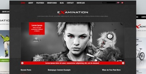 AIT Themes – Examination WordPress Theme