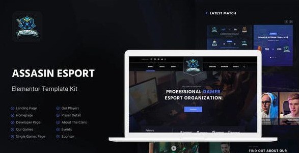 Assasin - eSport Elementor Template Kit