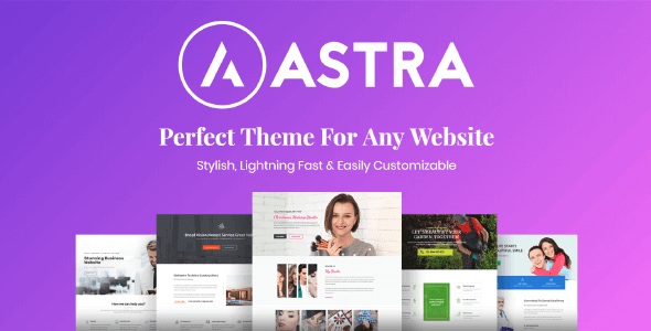 Astra Pro – Perfect Theme For Any Website