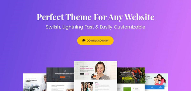 Astra Theme Pro