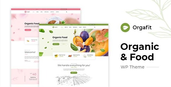 OrgaFit - Organic and Health WordPress Theme