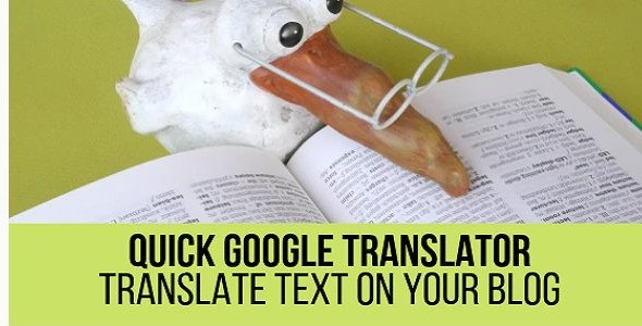 Quick Google Translator Plugin for WordPress