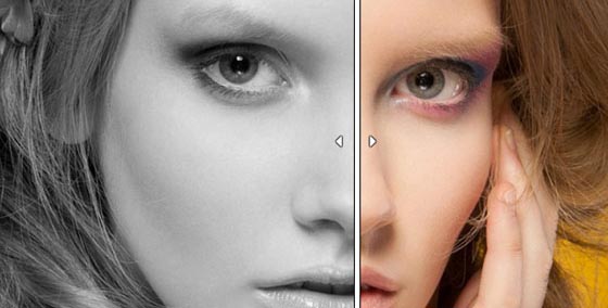 Themify – Builder A/B Image