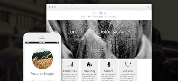Thrive Themes Minus Wordpress Theme