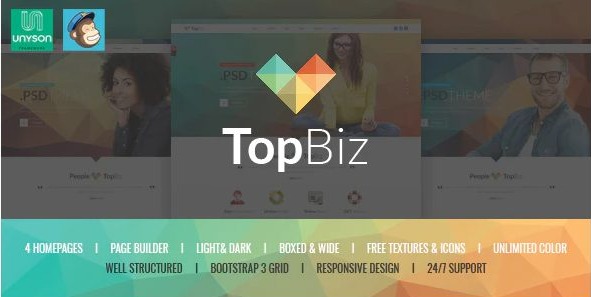 TopBiz - Responsive Corporate WordPress Theme - 1