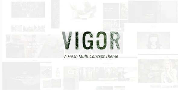 Vigor - Vintage WordPress Theme - 1