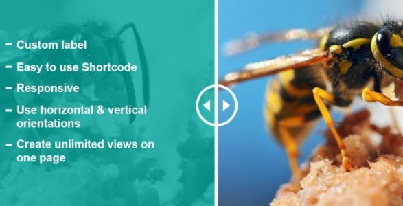 WP OnlineSupport Before and After Image Slider Pro