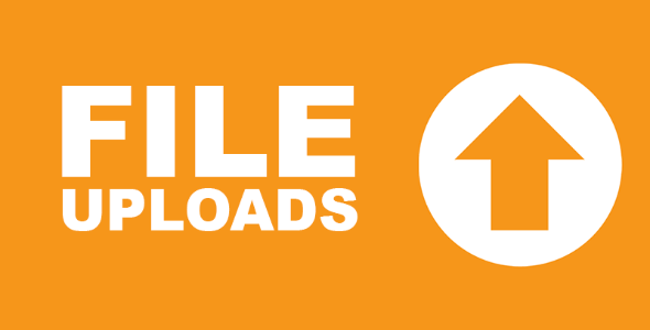 Ninja Forms File Uploads Addon